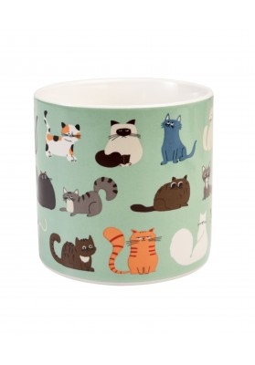 Mug chat
