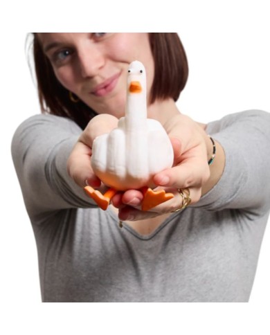 Anti stress parfait d'oie d'honneur